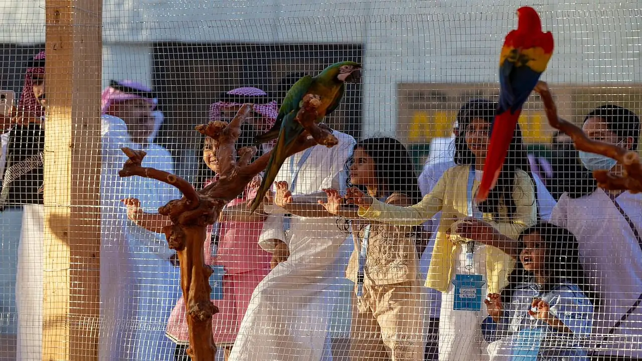 معرض الصقور والصيد السعودي 2025 يكشف عن منطقة “سفاري” للحيوانات المهددة بالانقراض